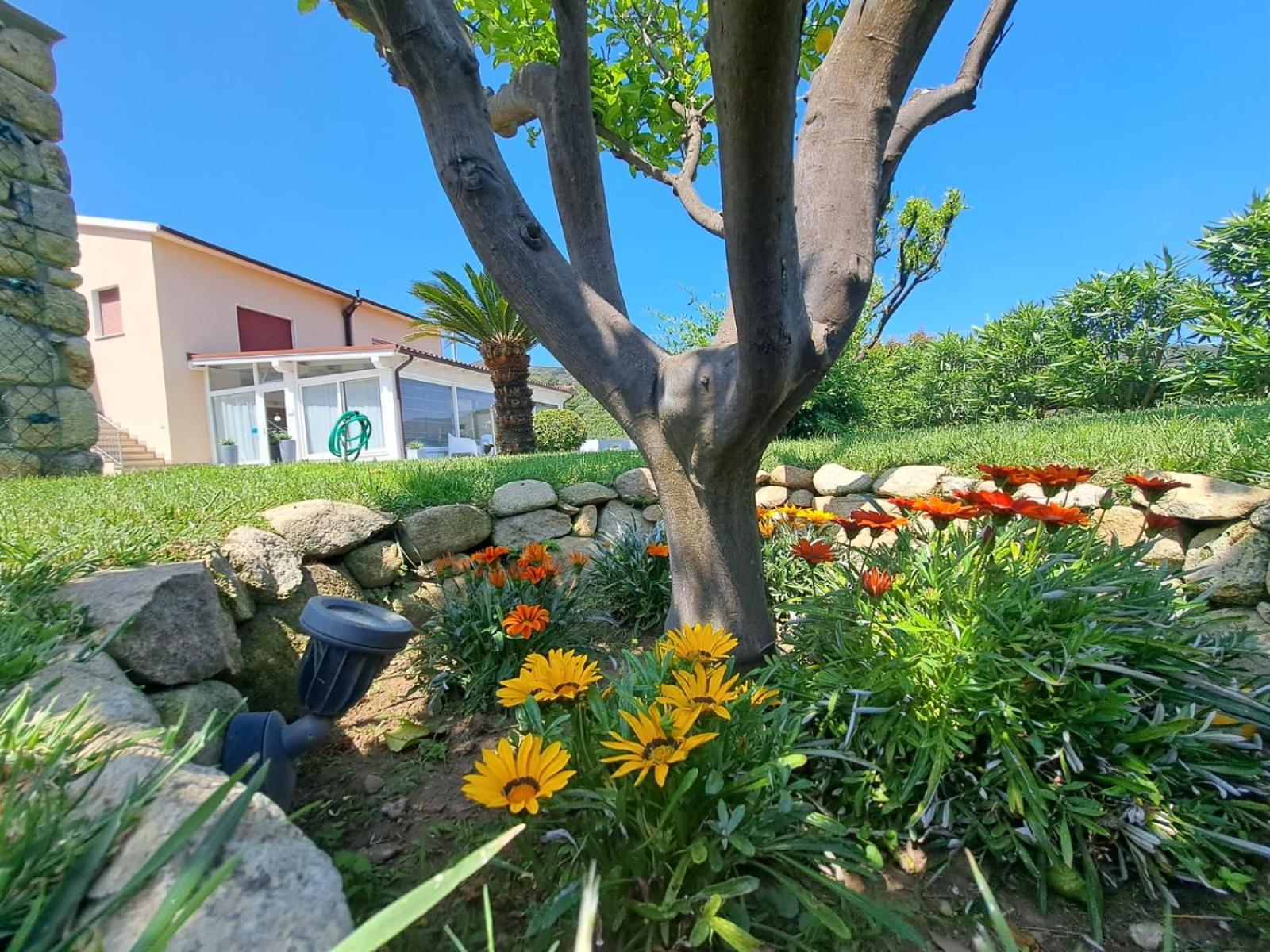 B&B Capo Al Piano Marciana Marina  Exteriér fotografie