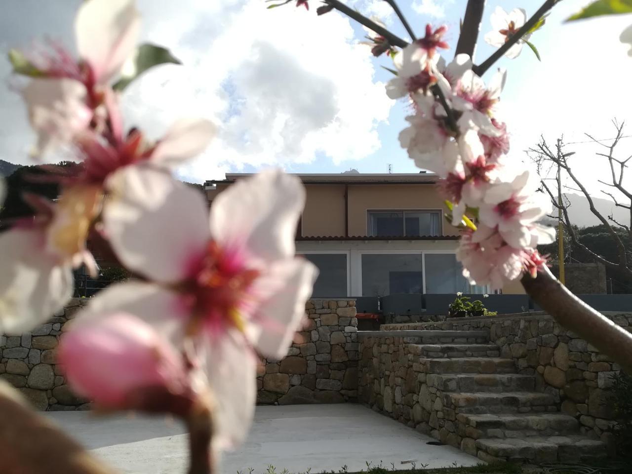 B&B Capo Al Piano Marciana Marina  Exteriér fotografie
